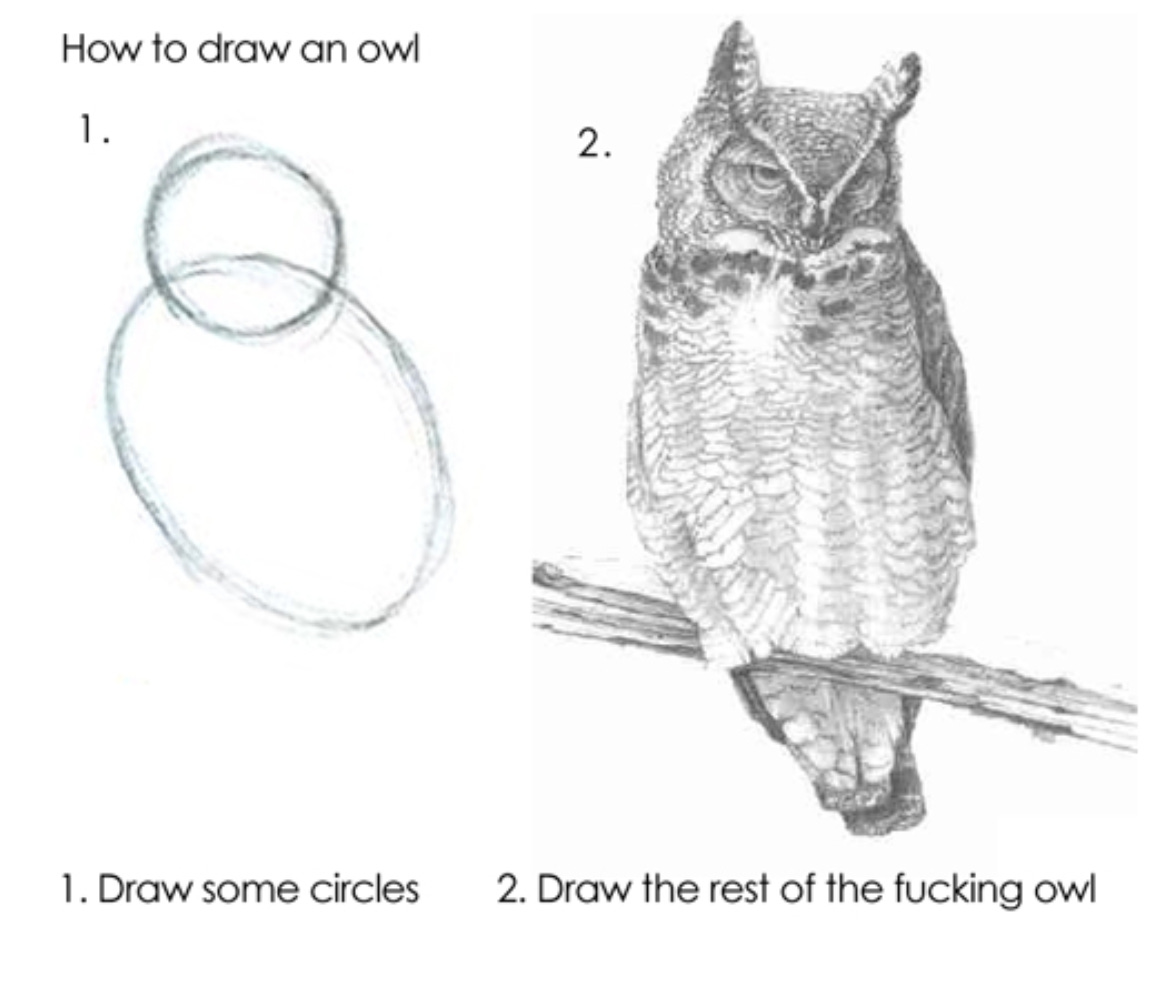 Draw The Rest Of The Fucking Owl By Karla Starr