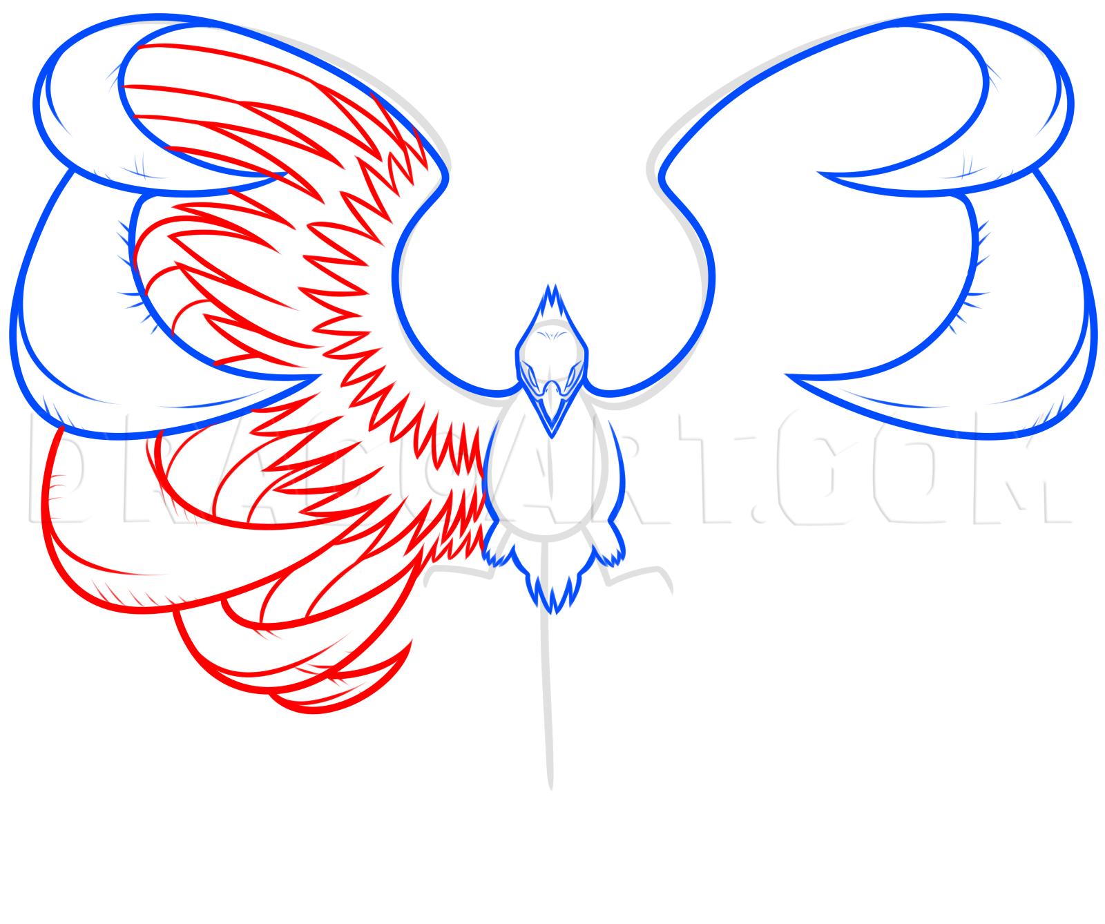 Drawing A Phoenix Step By Step Drawing Step By Step By Dawn DragoArt