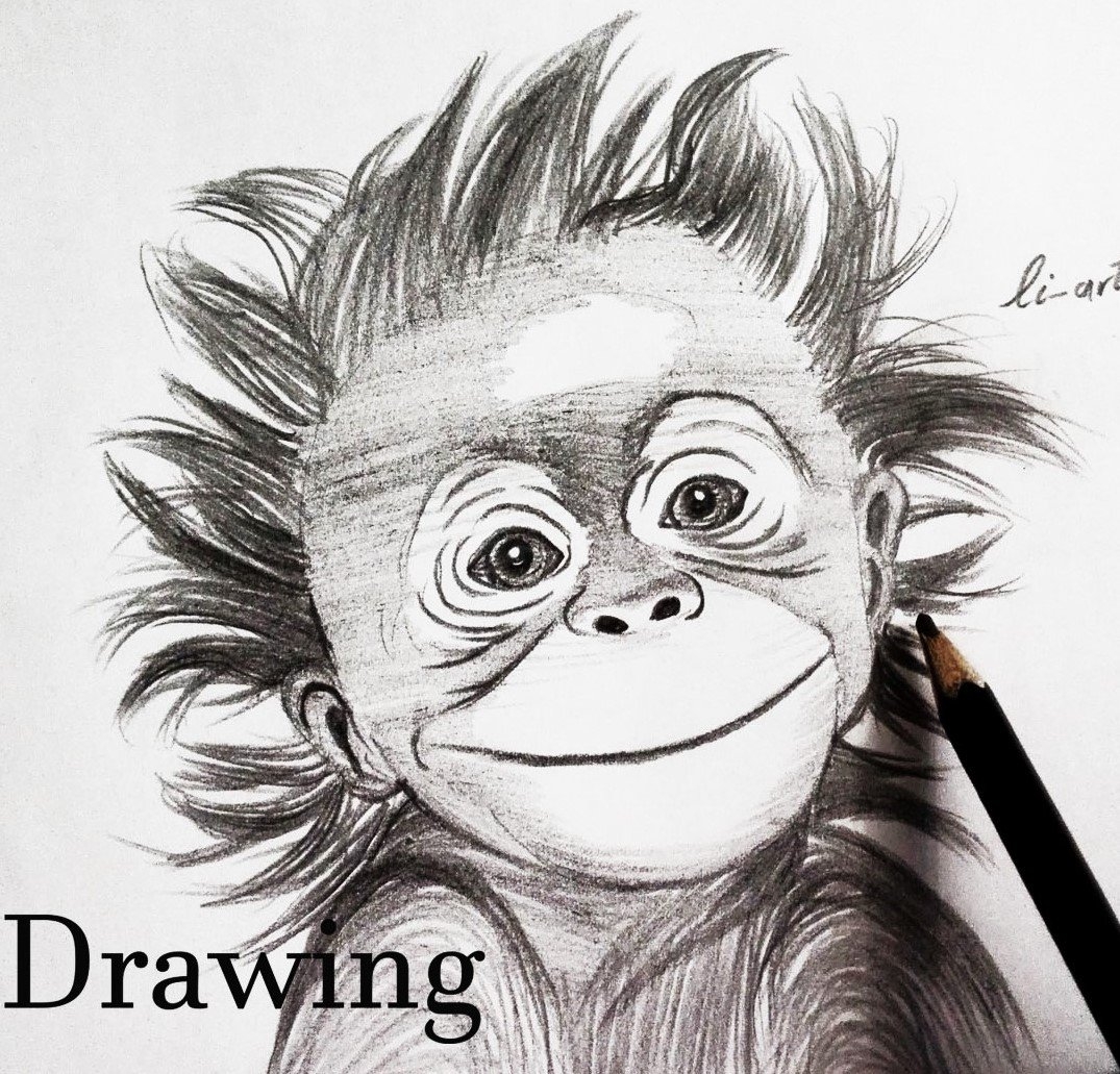 drawings of cute monkeys