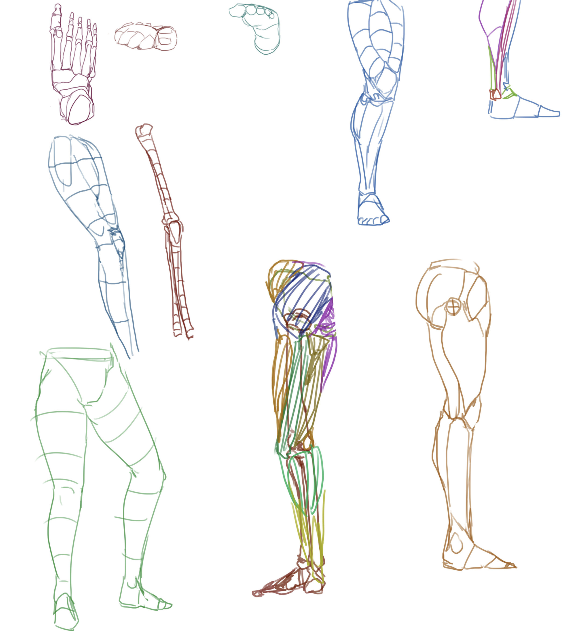 drawing basics