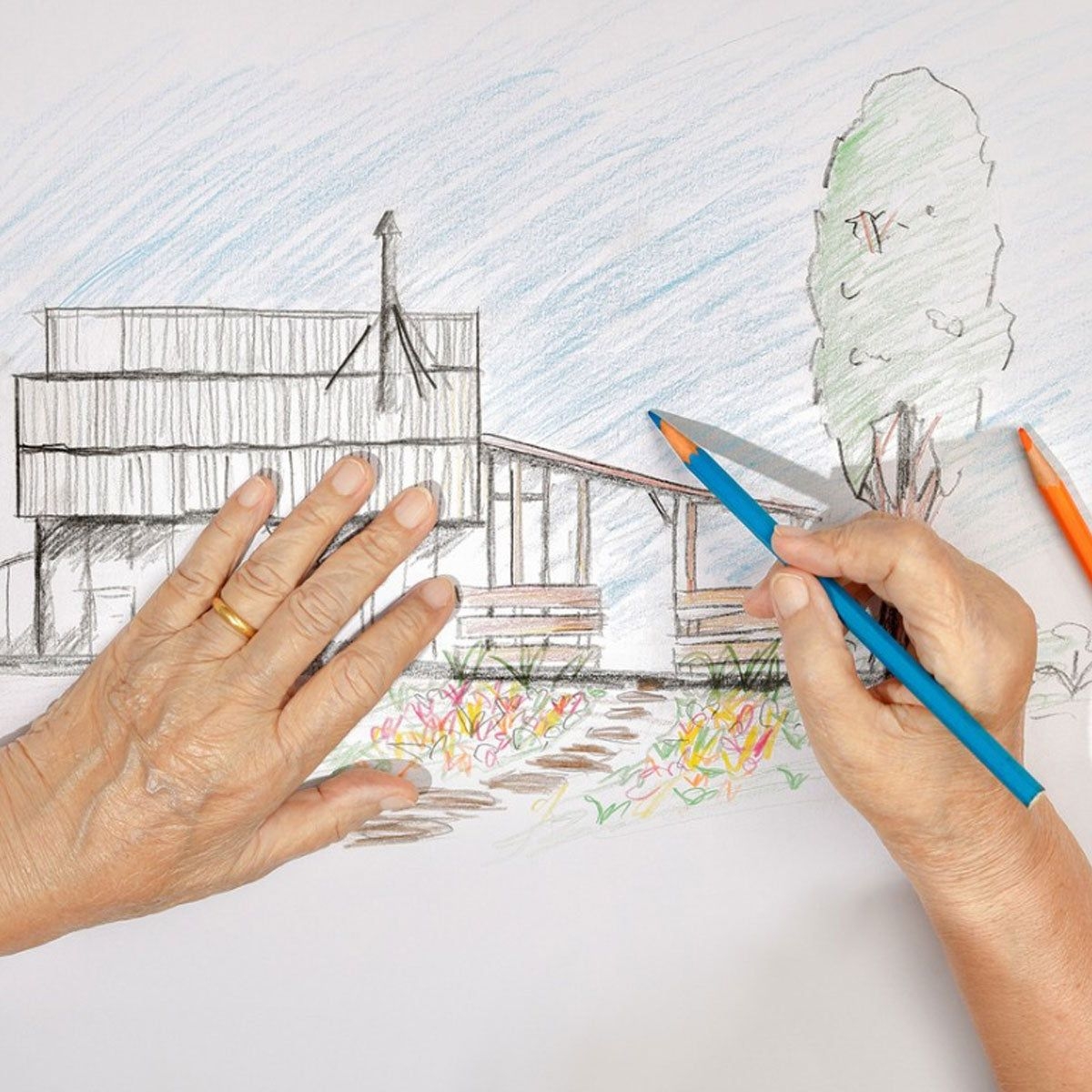 Drawing In The Garden How To Make Garden Sketches Gardening 