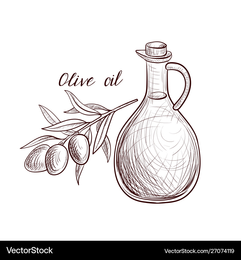 Drawing Olive Oil Royalty Free Vector Image VectorStock
