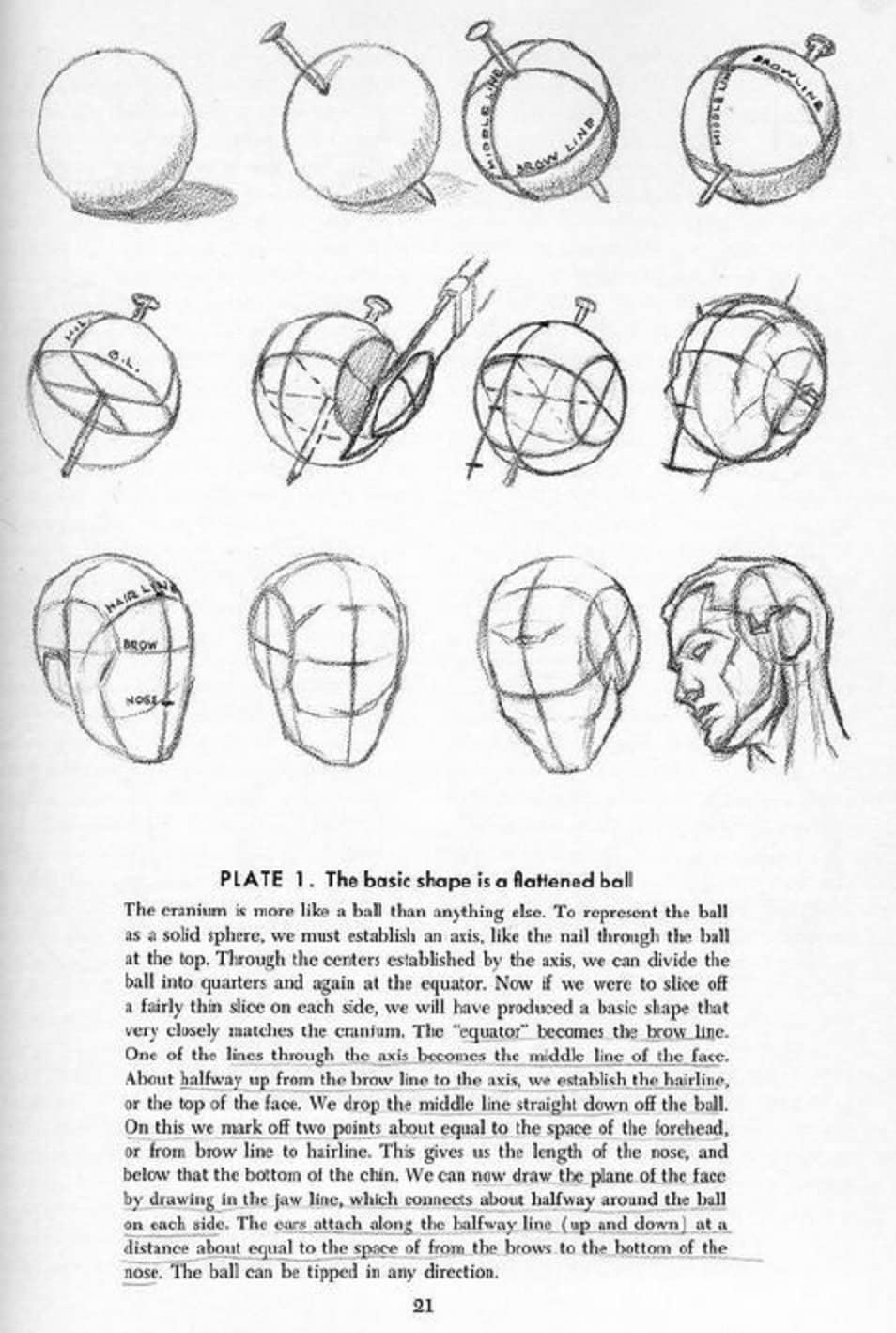 Drawing The Head And Hands By Andrew Loomis RARE Vintage Art 