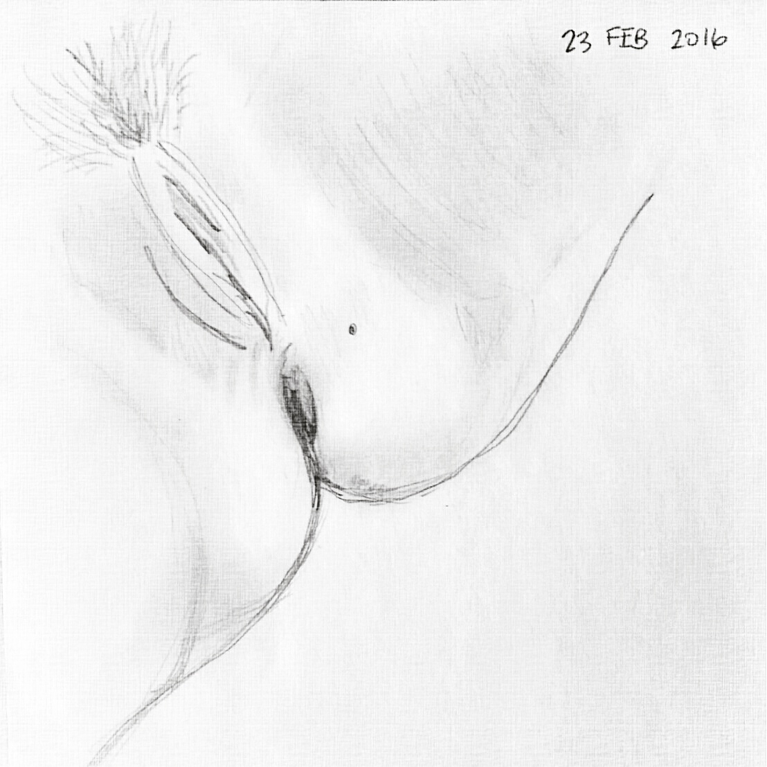 Drawing Vaginas The Femme Project