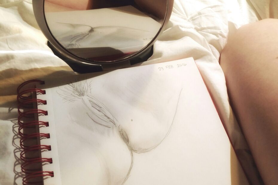 Drawing Vaginas The Femme Project