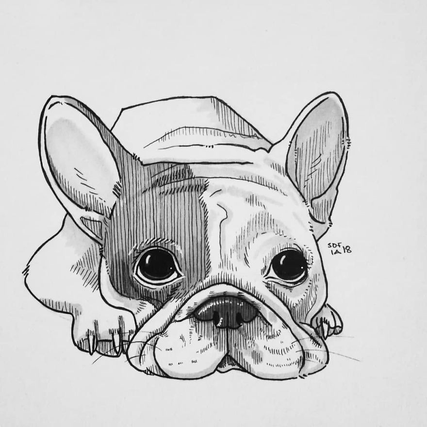 Drawings Of Different Dog Breeds Doodlers Anonymous