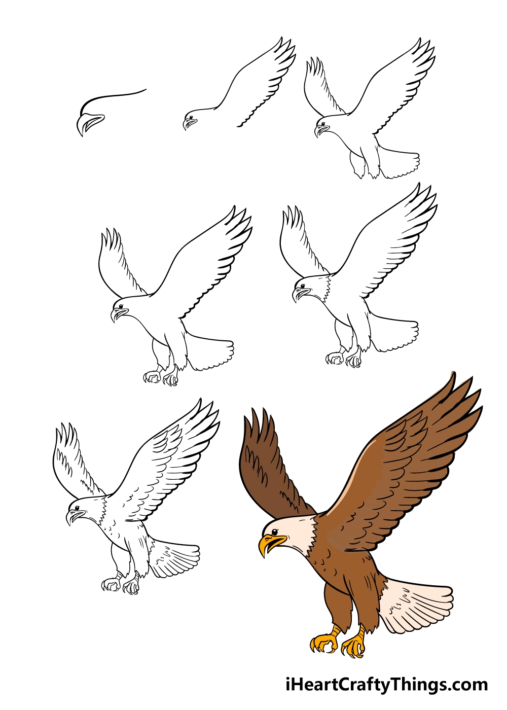 Eagle Drawing How To Draw An Eagle Step By Step 