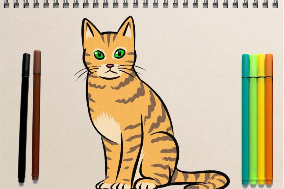 Easy Cat Drawing Ideas How To Draw A Cat Step By Step
