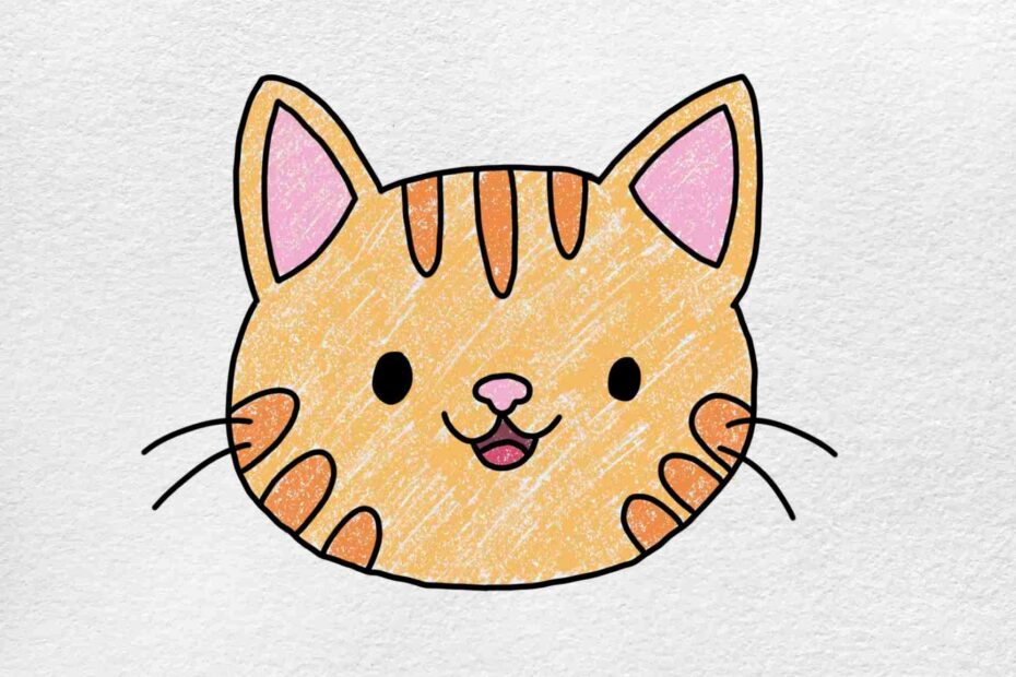 Easy Cat Face Drawing HelloArtsy
