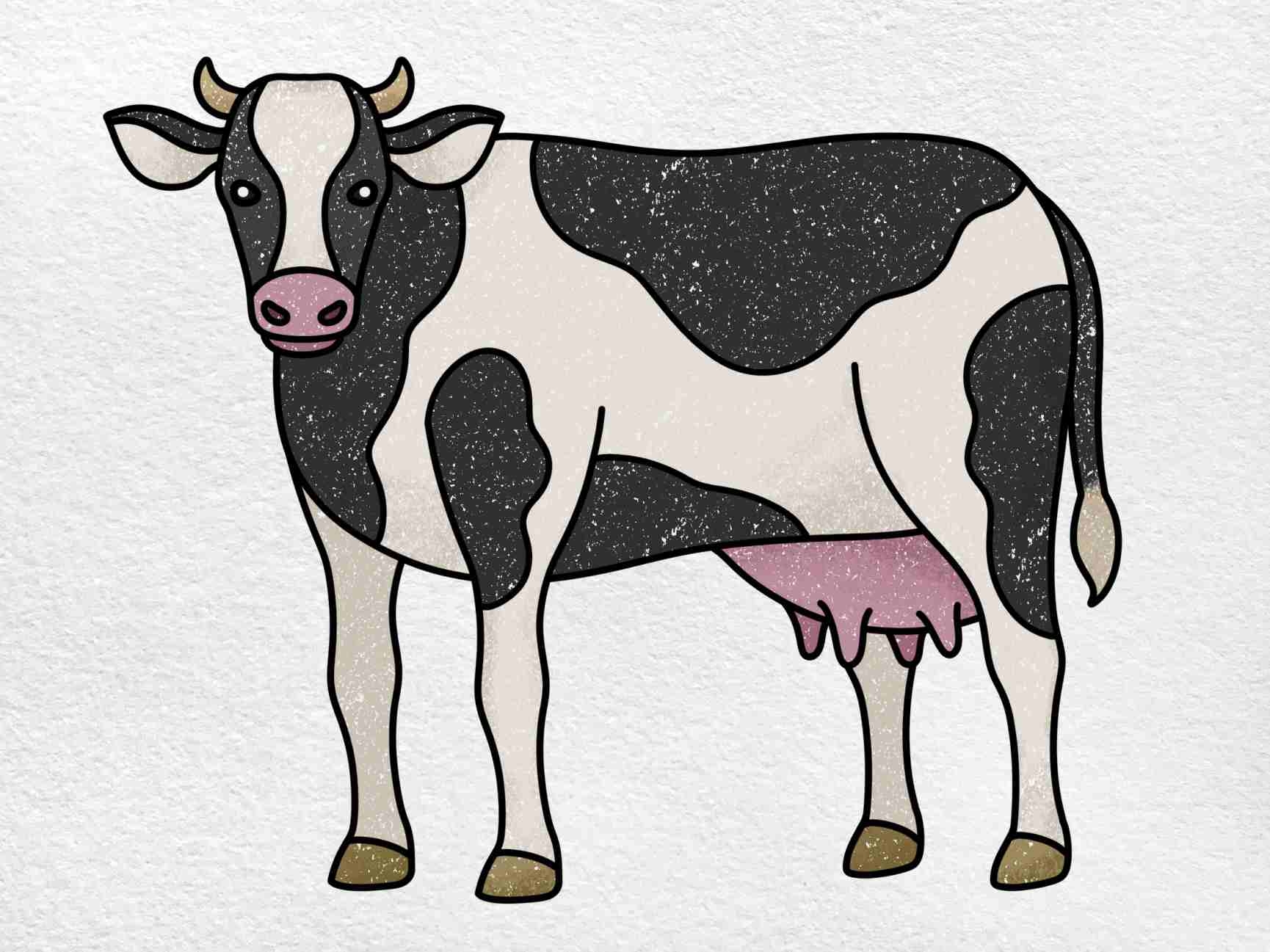 Easy Dairy Cow Drawing HelloArtsy