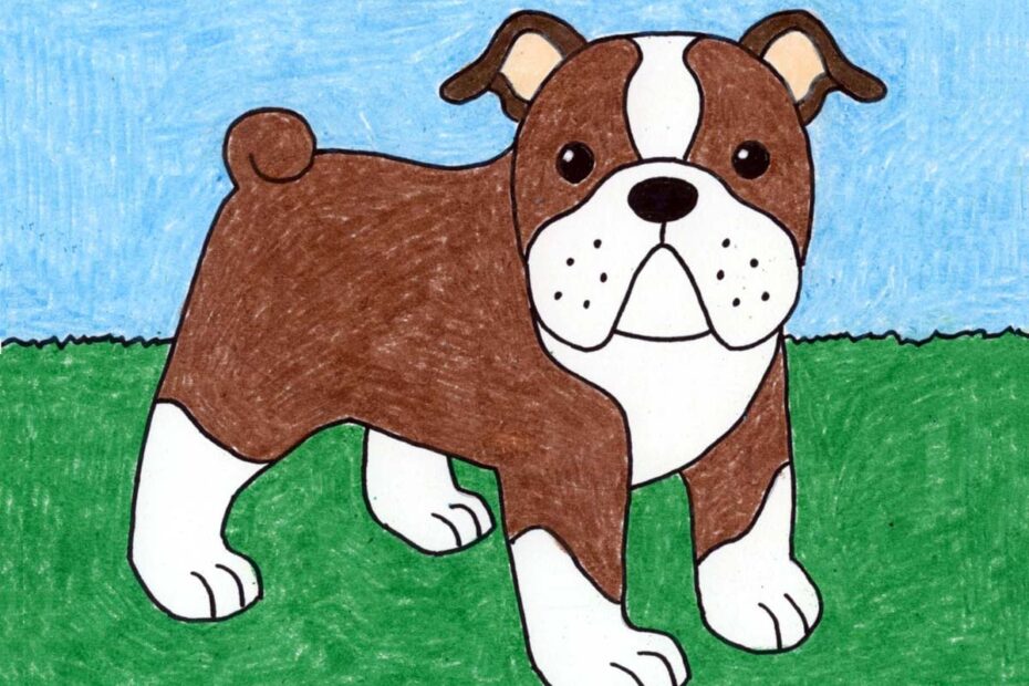 Easy How To Draw A Bulldog Tutorial And Bulldog Coloring Page