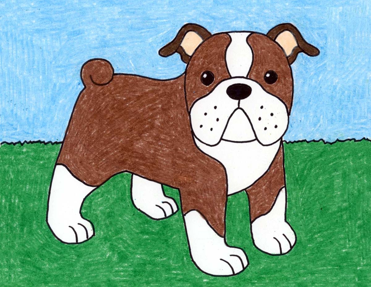 Easy How To Draw A Bulldog Tutorial And Bulldog Coloring Page