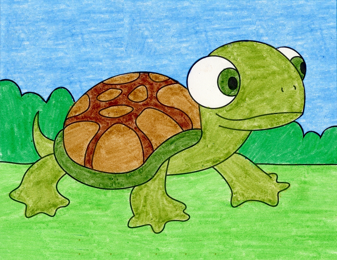draw a turtle