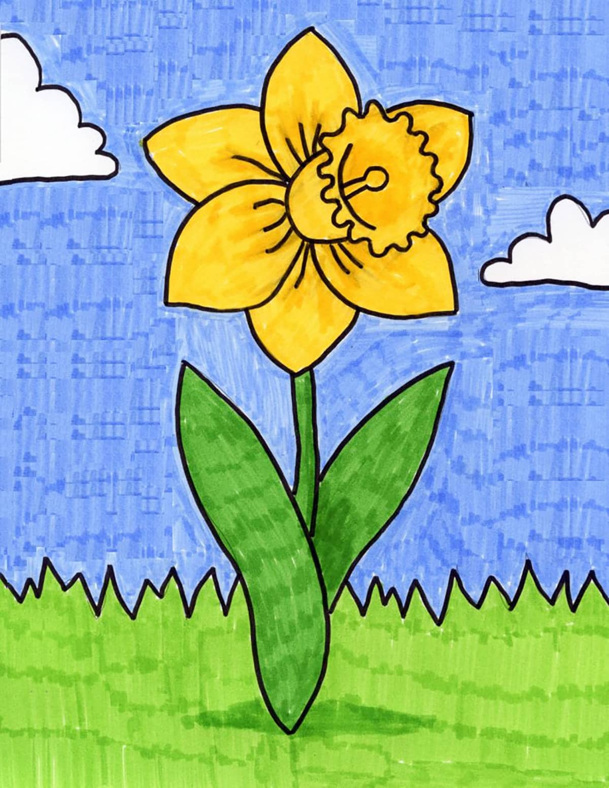 Easy How To Draw A Daffodil Tutorial Video Daffodil Coloring Page