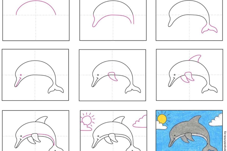 Easy How To Draw A Dolphin Tutorial Video And Coloring Page
