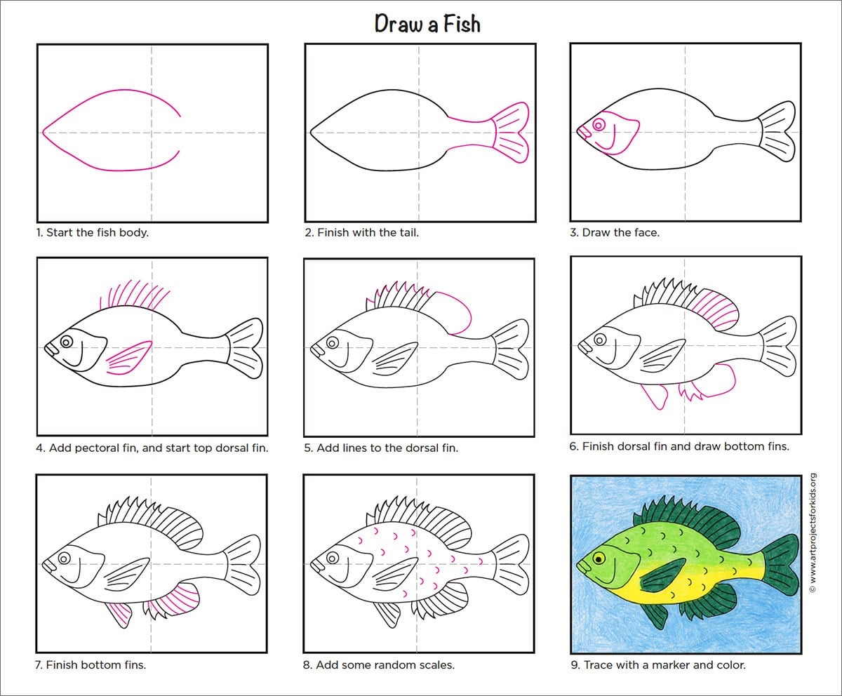 Easy How To Draw A Fish Tutorial Video And Fish Coloring Page