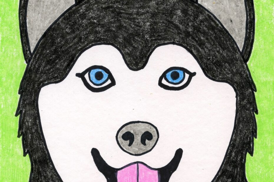 Easy How To Draw A Husky Tutorial And Husky Coloring Page
