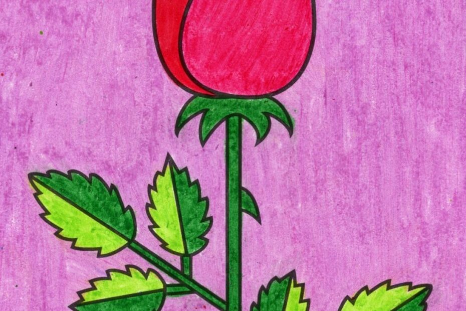 Easy How To Draw A Rose Tutorial Video And Rose Coloring Page