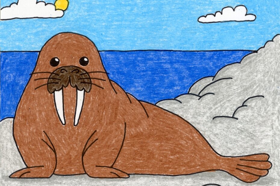 Easy How To Draw A Walrus Tutorial And Walrus Coloring Page