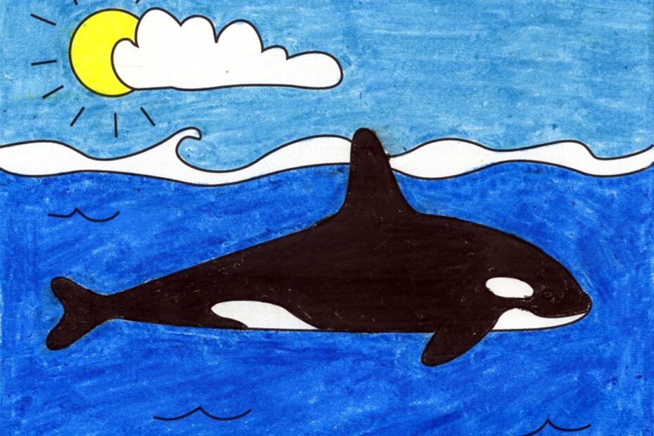 Easy How To Draw An Orca Tutorial And Orca Coloring Page