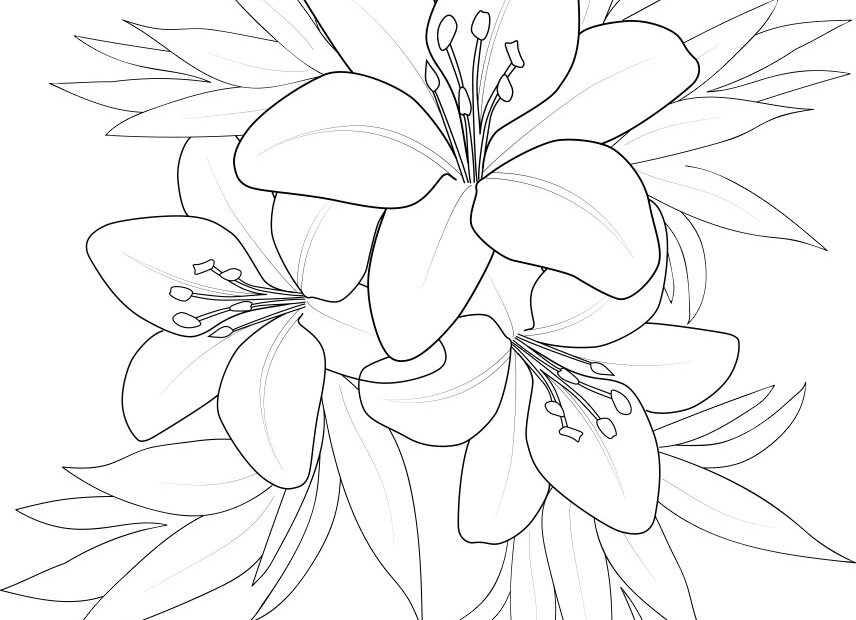 Easy Lily Flower Drawing Pencil Art Royalty Free Vector