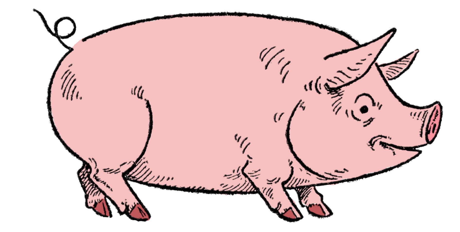 Easy Pig Drawing and Goat The Graphics Fairy