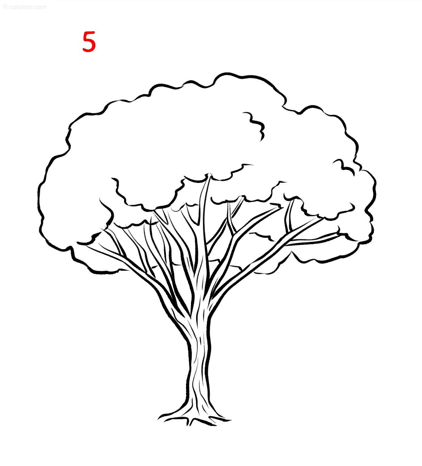 Easy Tree Drawing How To Draw A Tree