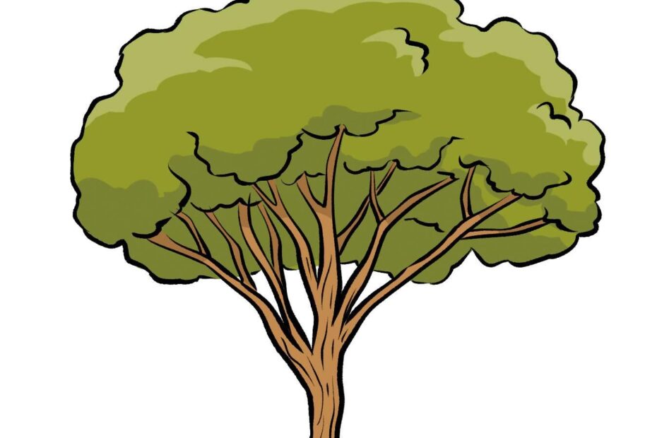 Easy Tree Drawing How To Draw A Tree