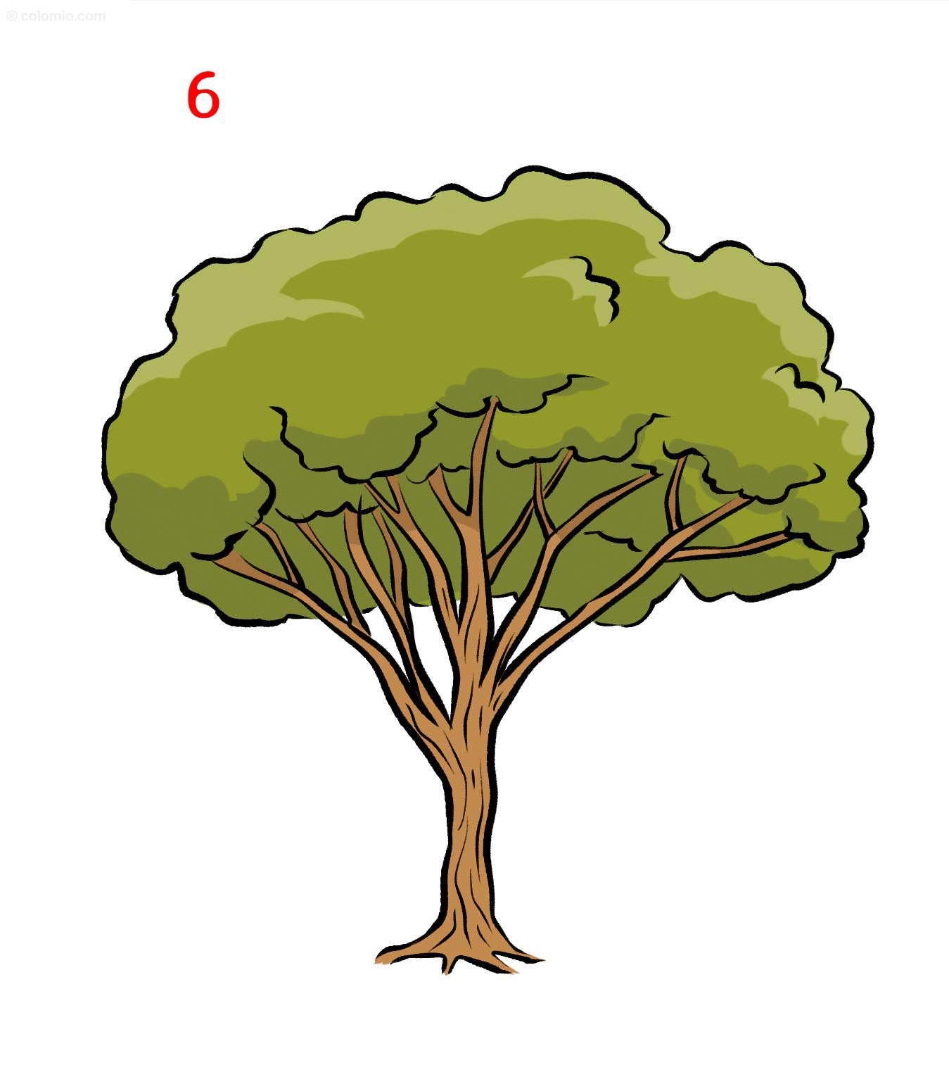 Easy Tree Drawing How To Draw A Tree
