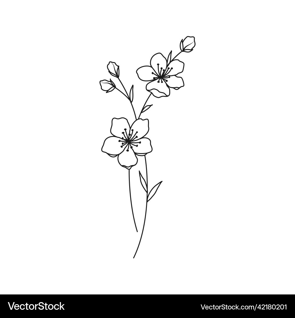 Elegant Cherry Blossom Floral Art Royalty Free Vector Image