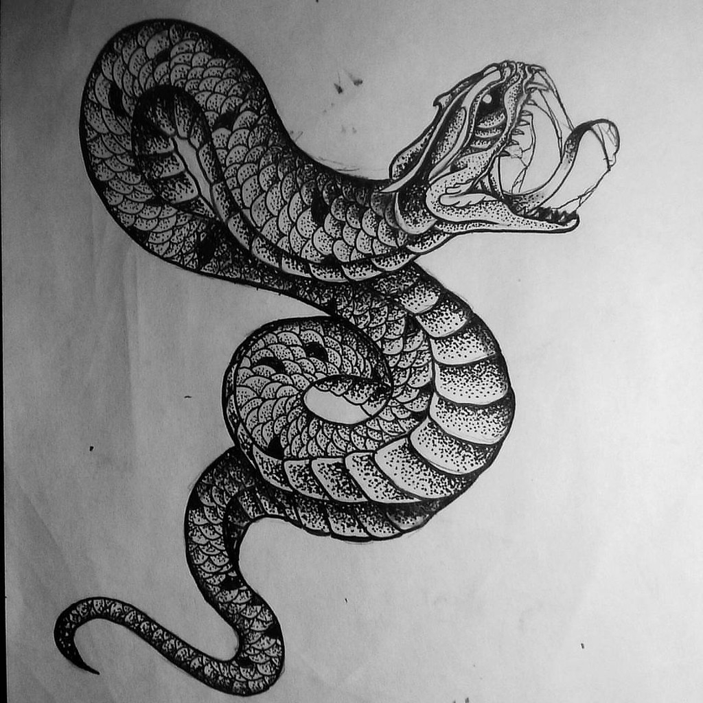snake drawings
