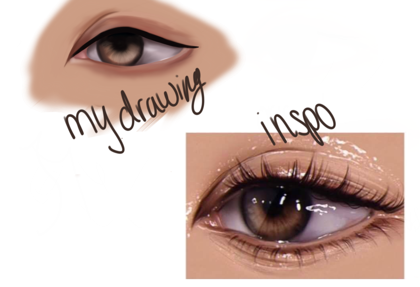Eye Reference Drawing W I N T E R G L A S S Illustrations ART Street