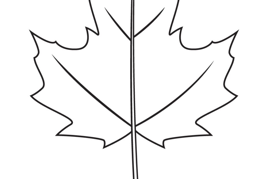 Fall Leaves Drawing How To Draw Fall Leaves Step By Step