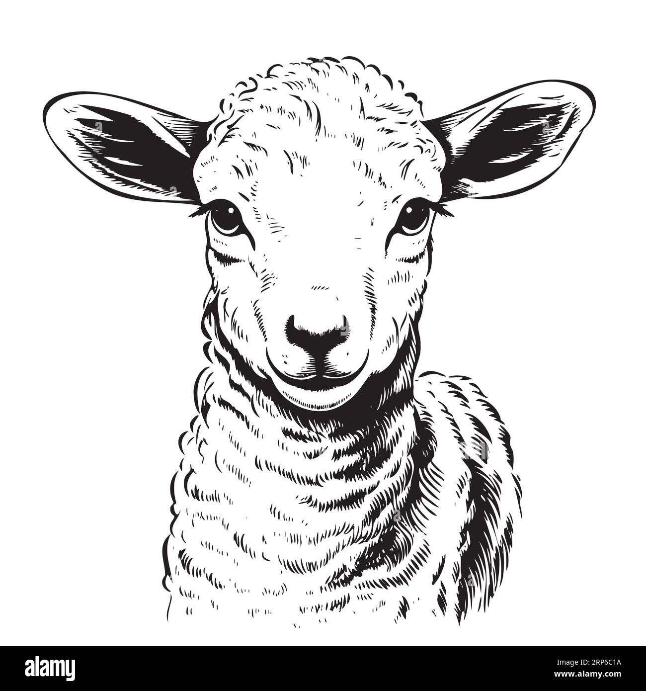 Farm Cute Little Lamb Hand Drawn Sketch Vector Animals Stock 
