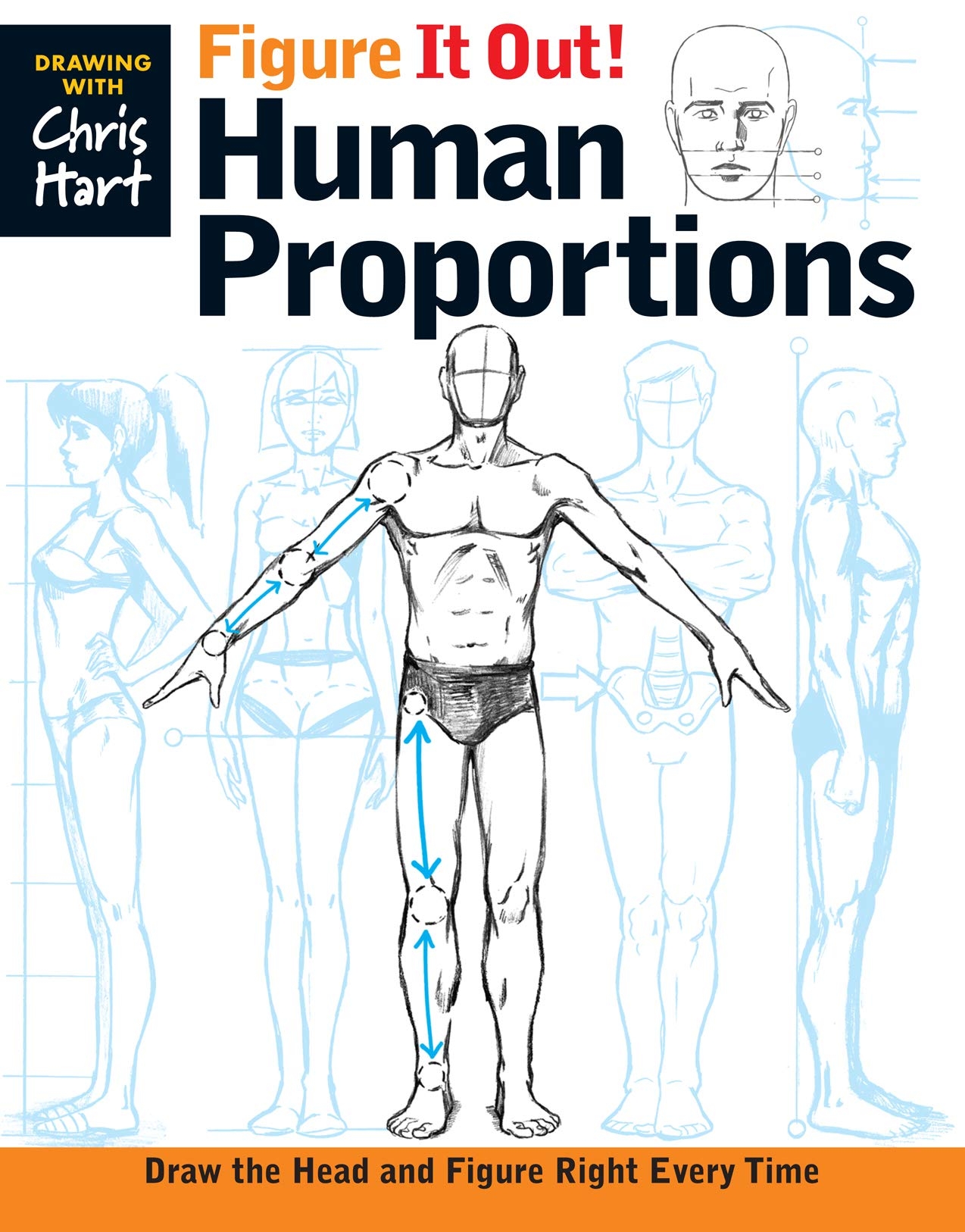 human proportions drawing