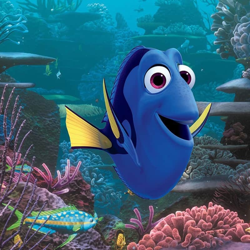 Finding Dory Free Printable Educator s Guide