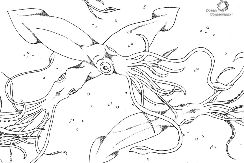 Fish Coloring Pages Ocean Conservancy