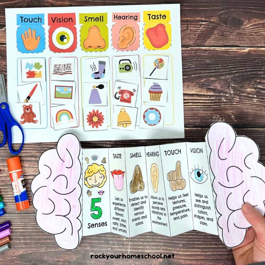 five senses coloring pages free