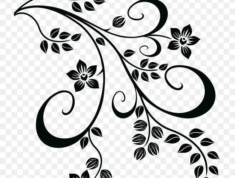 Floral Design Drawing Flower Kleurplaat PNG