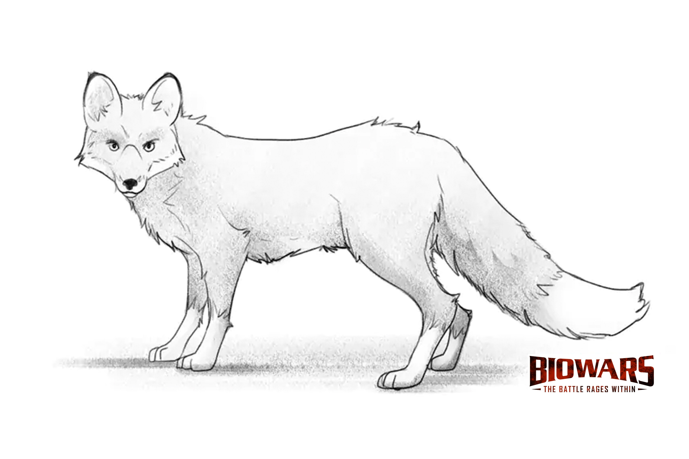 how to draw fox