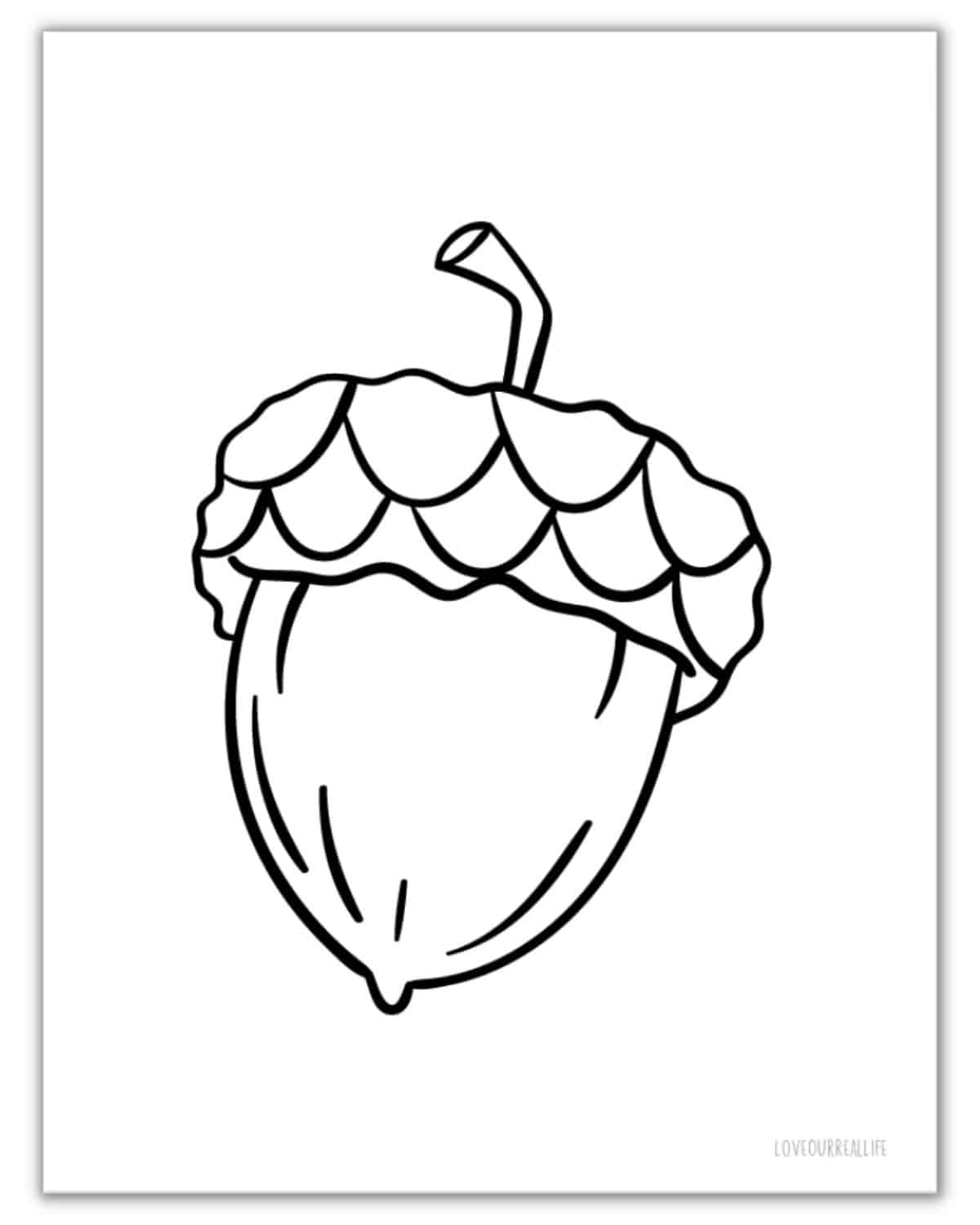free printable acorn pictures