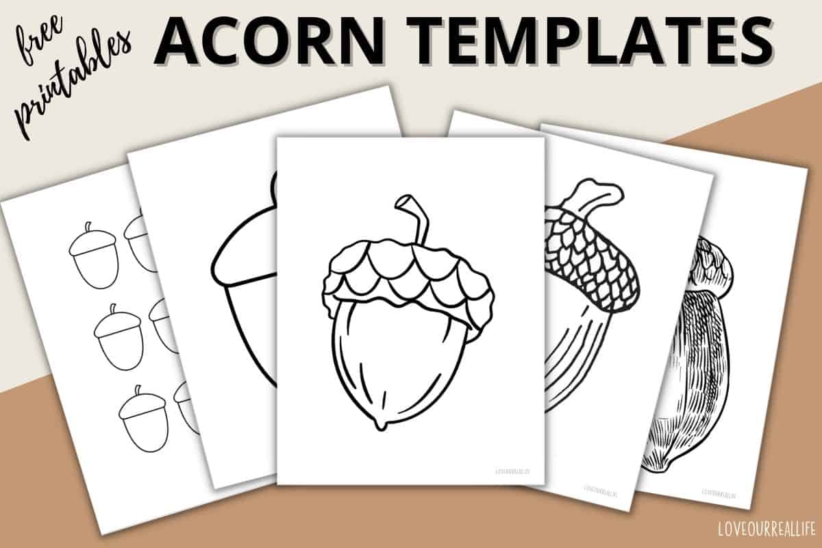 acorn coloring pages printable