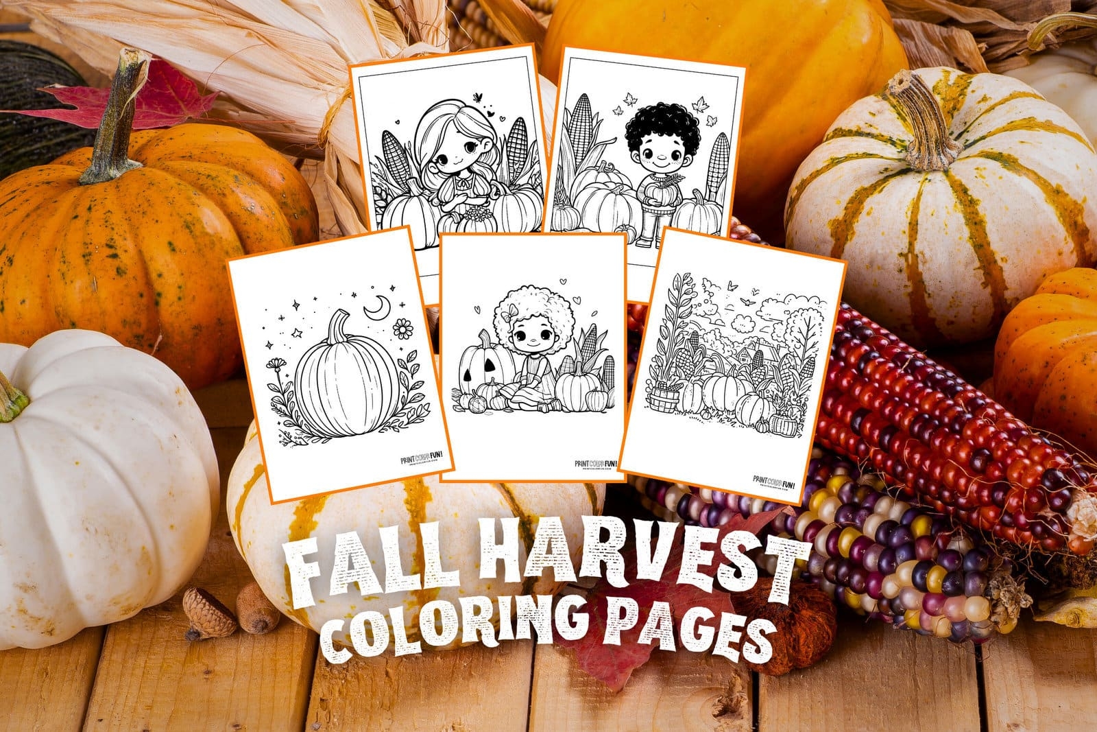 free pumpkin patch coloring pages