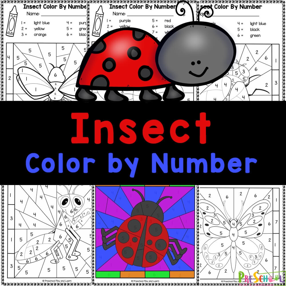 color by number free