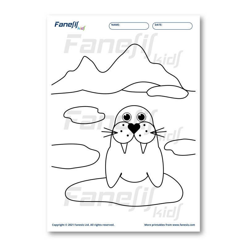 walrus coloring page printable