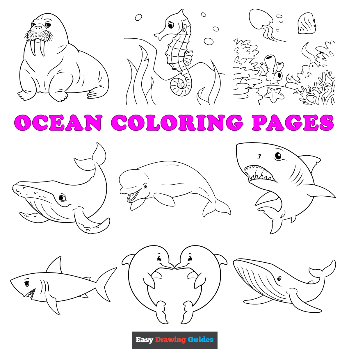 free coloring pages sea animals