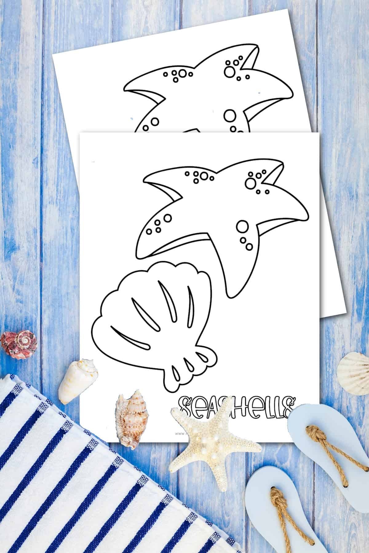 free printable shell coloring pages