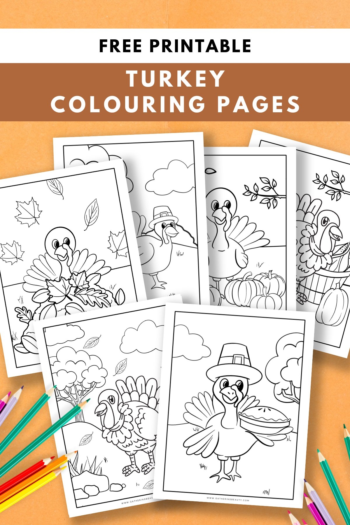 free turkey pictures to color