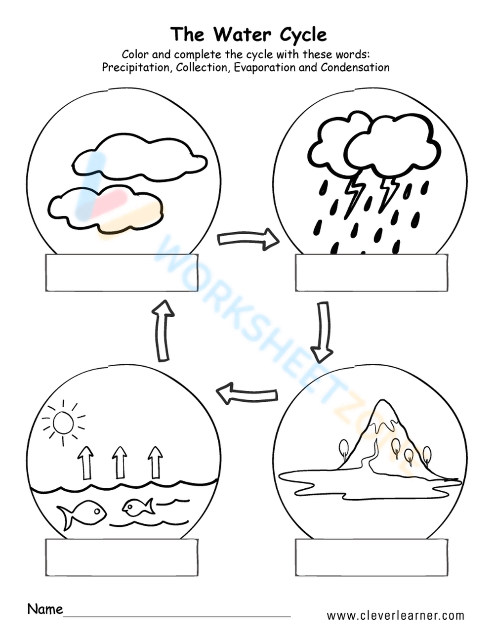 the water cycle free printable