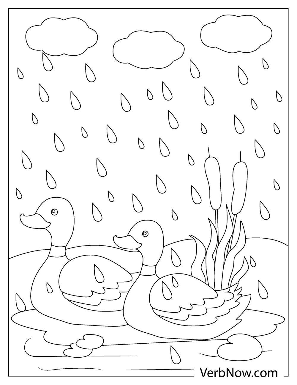 rainy season coloring pages